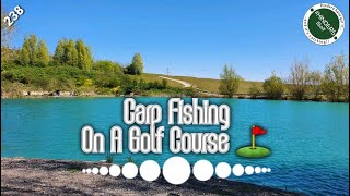 238 Carp Fishing On A Golf Course [upl. by Akemat]