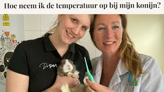 Hoe neem ik de temperatuur op bij mijn konijn  Instructievideo [upl. by Rennat695]