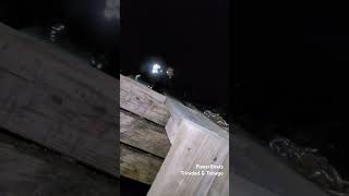 🐢 Baby Turtle visits Trinidad Shipyard at Night 🇹🇹 trinidad oceanlife tur turtleseason [upl. by Mcdowell]