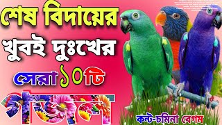 কলিজা চিড়া খুবই দুঃখের সেরা মায়াবী কন্টে বাছাই করা ১০টি গজল  Chomina Begum  New hart 10 Gojol [upl. by Krakow]