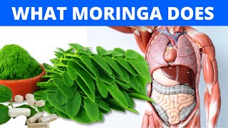 👉 The Shocking Truth About MORINGA Moringa Benefits amp Side Effects [upl. by Varhol227]