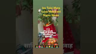 jaymatadi Tulsi Maiya sabhi ko Khush Rakhna sabhi deshvasiyon ko Tulsi Vivah ki hardik💐🙏 [upl. by Nileve]