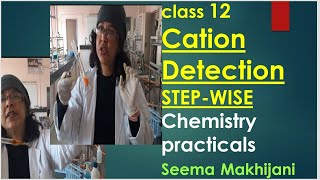 NEETJEE mains 2024 CATIONSTEP WISE in 15 minutes 2024 Chemistry PracticalsCBSE Class 11and12 [upl. by Vladamir]