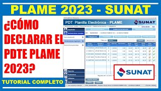 PLAME 2023 Declaración mensual SUNAT [upl. by Harneen286]