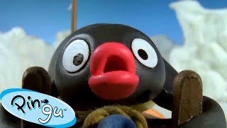 Pingu Gets Competitive 🐧  Pingu  Official Channel  Cartoons For Kids [upl. by Ihcehcu255]