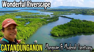 Where is this quotGREATquot Riverscape Mangroves amp Forested Community CATANDUNGANON x HINAMPACAN  BICOL [upl. by Acimad]