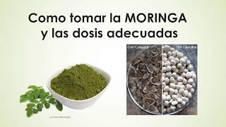 Como tomar la MORINGA semillas hojas polvo cápsulas y té [upl. by Hatty]