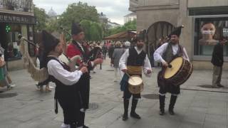 Galician Bagpipers [upl. by Arahs738]