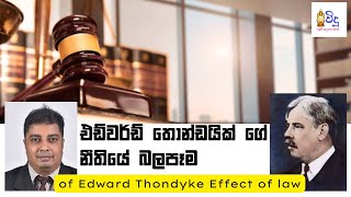 Edward Lee Thorndike Law of Effect  Psychological Counselling  Sinhala Video [upl. by Ysnap154]