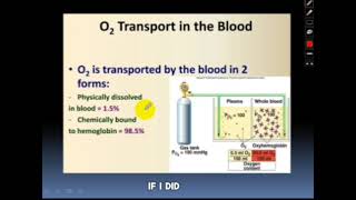 Respiratory Physiology  Gas Transport Part 1 [upl. by Oravla]