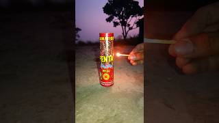 🥳 DIFFERENT TYPES Of DIWALI CRACKERS TESTING  Sky Shot ➕ Diwali Rocket ➕ Murga Chhap ➕ Bijli Bomb [upl. by Purse]