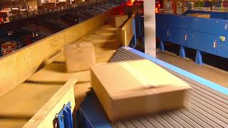 Dynamic Worldwide Tilt Tray Sorter [upl. by Hsejar]