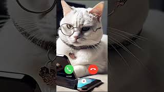 Cat calling you cat shortvideos [upl. by Nevar]