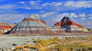 The Ancients Of The Petrified Forest  Arizona [upl. by Drofnelg37]