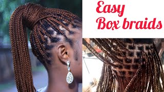 How to do Knotless Box Braids Beginner friendly Box Braids Tutorial hair hairstyle tutorial [upl. by Erbua420]