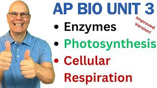 Crush AP Bio Unit 3 Enzymes Photosynthesis and Respiration [upl. by Longtin]