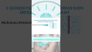 Moléculas Hidrossolúveis e Lipossolúveis Passam pela Membrana Celular ou por Proteínas shorts [upl. by Lrac]