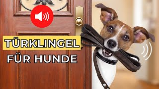 10 Türklingel für Hunde 🔊🐶 geräusche fur hund [upl. by Aerda285]