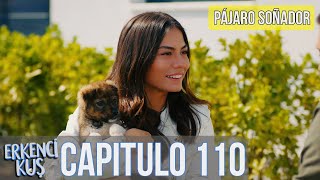 Pájaro soñador  Capitulo 110 Audio Español  Erkenci Kuş [upl. by Ettennor]