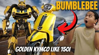 Bumblebee at First Glance Golden Classic Scoot Like 150i [upl. by Rehtul997]