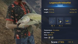 CotW The AnglerIzilo Zasendulo2024Largemouth YellowfishDiamond [upl. by Nnayllek]