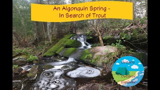 An Algonquin Spring  In Search of Trout [upl. by Anaele]