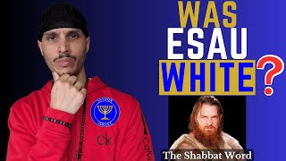 Was Esau White Was King David and King Solomon White RuddyRed Explained [upl. by Ekoorb]