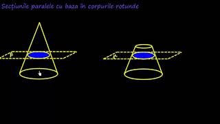 Secțiuni paralele cu baza în corpuri geometrice  LectiiVirtualero [upl. by Liba844]