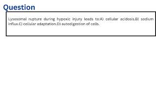 Lysosomal rupture during hypoxic injury leads to [upl. by Yanaj]