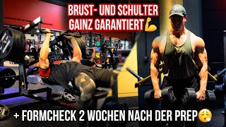 Endlich wächst die Brust  Push Training erklärt [upl. by Milissa]