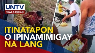 3000 na mangga sa San Mateo Isabela itinapon at ipinamigay na lang dahil sa oversupply [upl. by Aevin290]