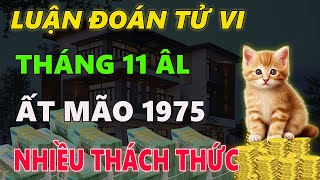 Tử vi tuổi ẤT MÃO 1975 tháng 11 âm lịch ĐỐI MẶT NHIỀU CHÔNG GAI THỬ THÁCH [upl. by Aracaj]