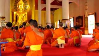 Buddhist Monks praying in Chiang Mai Thailand  Wat Phra Singh [upl. by Lihka870]