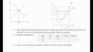 umh1262 201213 Lec012 EJERCICIO 14 y 15 Tema 6 Competencia Perfecta [upl. by Aldric]