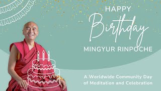 Celebrate Mingyur Rinpoche’s Birthday South America [upl. by Laurent]