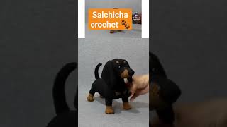 Salchicha crochet salchichaamigurumi perritosalchichacrochet crochetdog Celinainnovaciones [upl. by Far263]