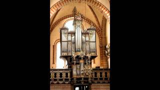 Buxtehude  Preludium und Fugue in g Buxwv 150 [upl. by Zetrauq897]