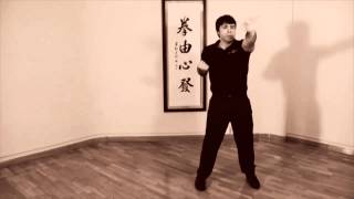 Ving Tsun Wing Chun Kung Fu  Forma Cham Kiu  Marcelo Navarro [upl. by Carmencita]