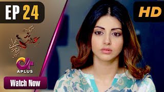 Pakistani Drama Kyunke Ishq Baraye Farokht Nahi  EP 24  Aplus  Junaid Khan Moomal  C3N1 [upl. by Laresa]