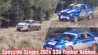 Speyside Stages 2024 SS6 Timber Avenue [upl. by Comethuauc]