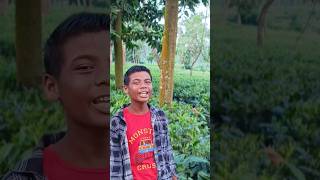 Baganiya Gaan Song Assamese Song Shorts baganiyasong assmesesong shortsfeed [upl. by Sergent]