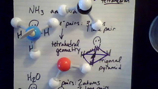 VSEPR Models [upl. by Ahsar364]