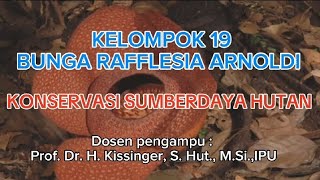 BUNGA RAFFLESIA ARNOLDI  Kelompok 19B [upl. by Kavita479]