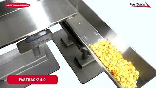 FastBack® 40 Horizontal Motion Conveyors Model 250 amp 100  Heat and Control [upl. by Ecaroh]