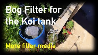 Bog Filter for the Koi tank  new filter media [upl. by Aihsenak]