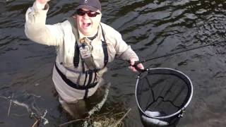 River Tweed Grayling  Tenkara fishing in Scotland with Orvis Guide [upl. by Gary]