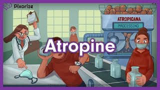 Atropine Homatropine Tropicamide Mnemonic for USMLE [upl. by Nahta208]