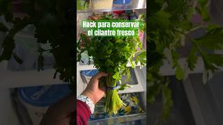 Hack para conservar el cilantro fresco hacks trucos cocina shorts [upl. by Eiramannod]