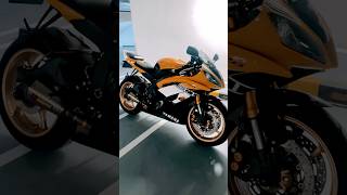 YAMAHA R6 Engine Start AKRAPOVIC Slip On [upl. by Anelegna]