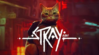 STRAY  Coming to Nintendo Switch November 19 [upl. by Eremehc]